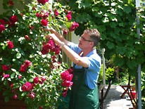 Hilfe im Garten in Siegen Seniorendienste in Siegen